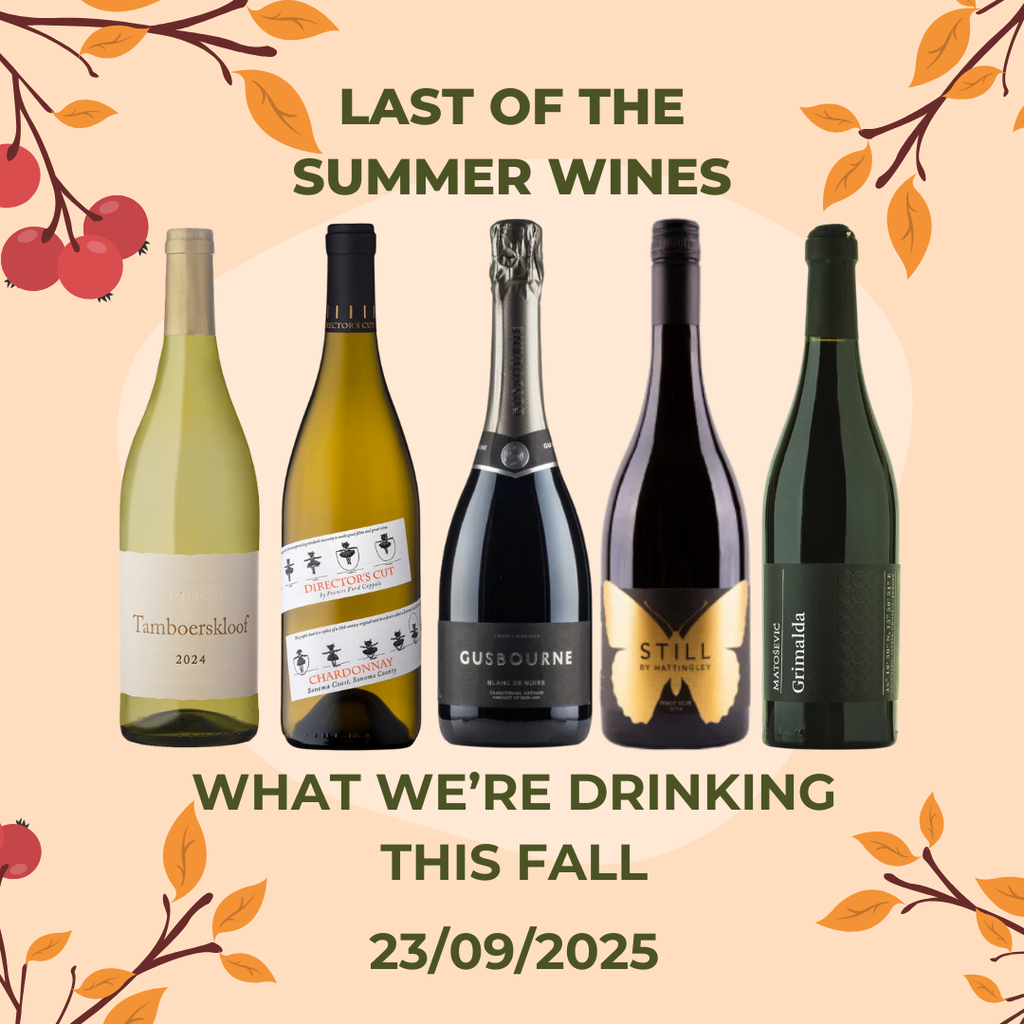 Last Of The Summer Wine: What We're Drinking This Fall - Whole Bunch Wines Tasting